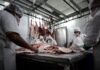 Aumenta el malestar del campo por los efectos adversos de las restricciones a las exportaciones de carne vacuna